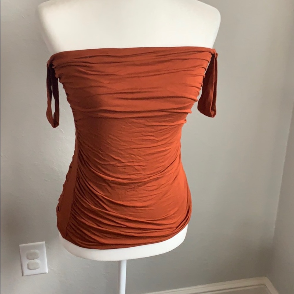 ArdenB Burnt orange Tube Top